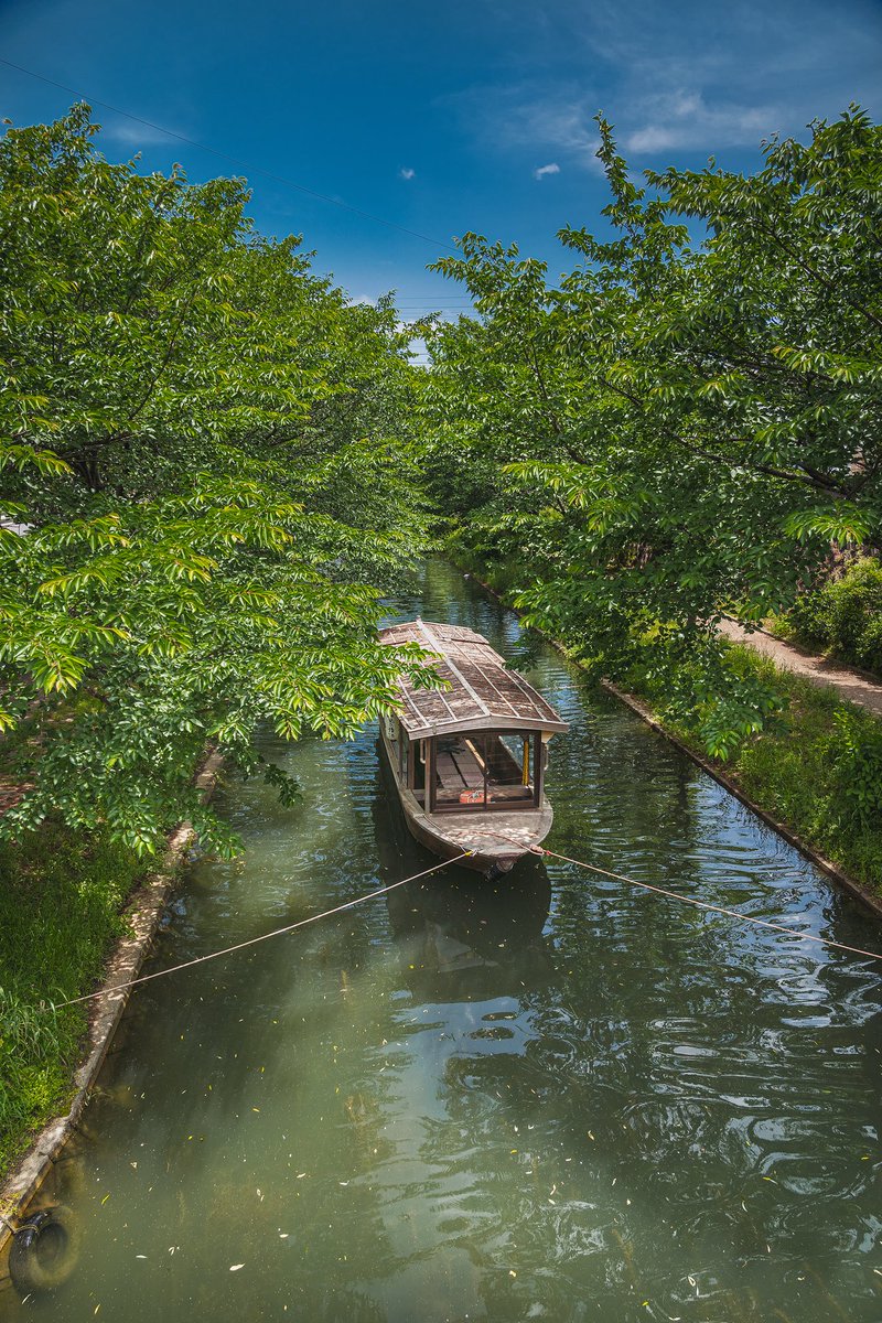 関西の写真 観光スポット すっかり夏の景色になっていました 緑が美しいところですよー 川沿いを散歩するのも楽しいです 京都 中書島 伏見十石舟 京都 春 桜 写真スポット T Co A5e3qkjva7 新緑 初夏 観光 旅行 一眼レフ