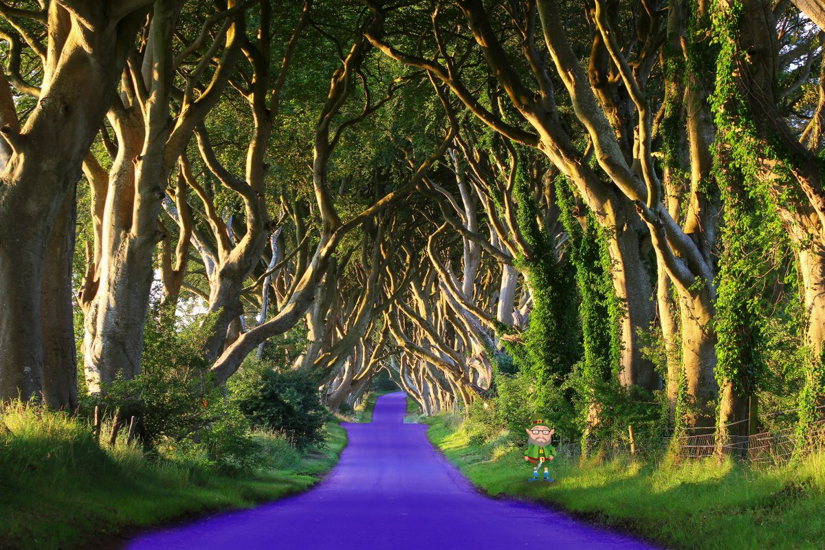 rockincolour's tweet photo. Rocky visits the ‘Kings Road’ and turns it purple in honour of his RockinRoyal stone! #GameOfThronesFinale https://t.co/VqAGAX4aoY