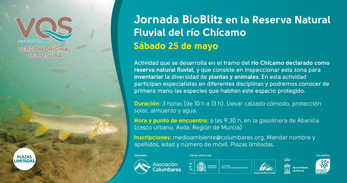 📆👉 El próximo 25 de junio, a las 9.30, Jornada Biblitz en la Reserva Natural Fluvial del Río Chícamo #Abanilla. Inscripciones en medioambiente@columbares.org. Plazas limitadas