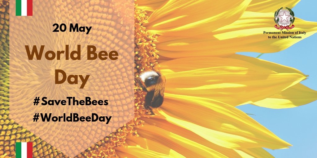 Italy Un New York Today Is Worldbeeday Dyk Bees And Other Pollinators Are Crucial To Maintain Fooddiversity And To Ensure Biodiversity And Resilience In Agroecosystems Whybeesmatter Climateaction Zerohunger 30agenda Italy Un New York Today Is Worldbeeday Dyk Bees And Other Pollinators Are Crucial To Maintain Fooddiversity And To Ensure Biodiversity And Resilience In Agroecosystems Whybeesmatter Climateaction Zerohunger 30agenda