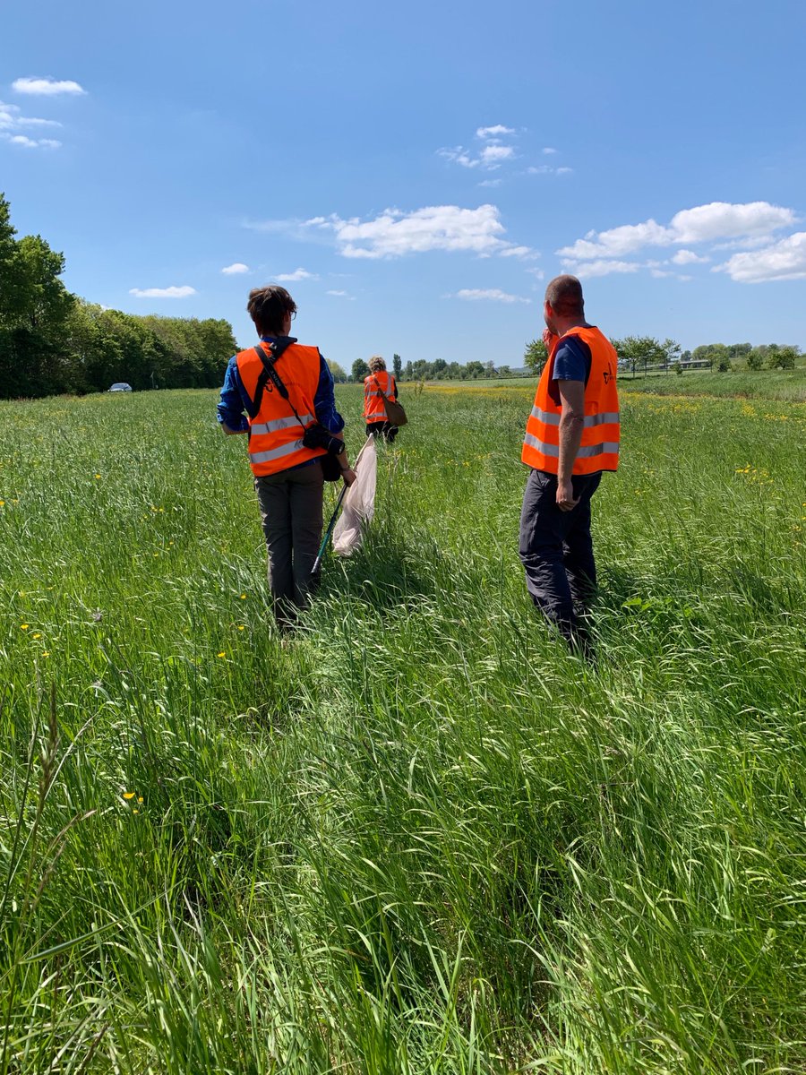 Grass2Grit is een pilot. En dat betekent veel meten. Bijvoorbeeld de biodiversiteit langs 'onze' testweg, de N504 in de <a href="/ProvincieNH/">Noord-Holland</a>. Dat deden we samen met de Vlinderstichting <a href="/vlinderNL/">De Vlinderstichting</a>. 
#biodiversiteit, #innovatie, #circulair