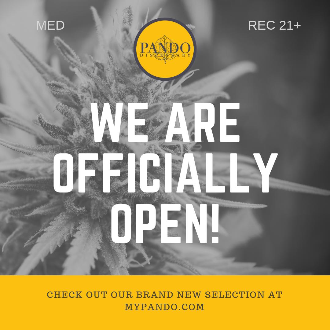 Pando Denver (@pandodispo) / Posts / X