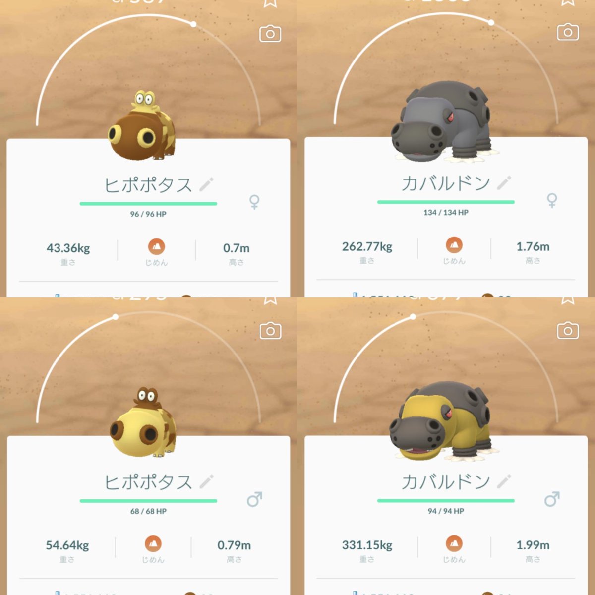 ポケモン 剣 盾 カバルドン 色 違い