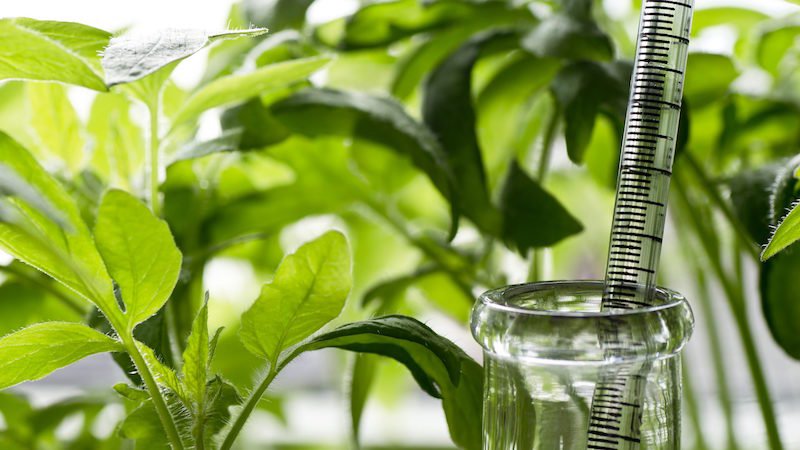 IUK_Agrifood's tweet photo. The 2nd @KETBIO_biotech webinar - on #IndustrialBiotechnology & knowledge/tech transfer from academia - is taking place on 31st May at 12:00 UK time. Book your free place now: https://t.co/NR9uRt8x3K #biotech @IBioIC @flandersbio https://t.co/ZYlxWGEuD0