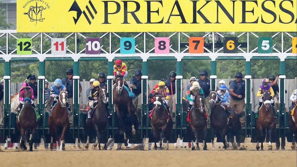 BaltSunTV tweet media