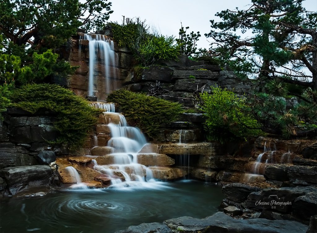 Silk Water I  #longexposure at the Botanical Gardens #photograghy