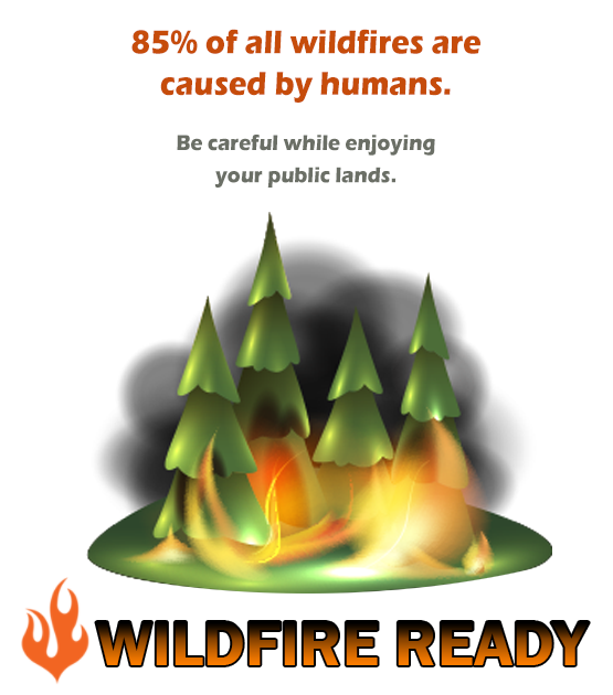 BLMFire's tweet photo. #DYK the stats?  Human caused fires vs. lightning caused fires statistics are very interesting.  More STATS!
#publiclands #wildfireawarenessmonth #preventwildfires
#firecauses https://t.co/1BFWUqcE9N