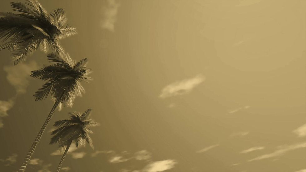 Athena Law tweet media