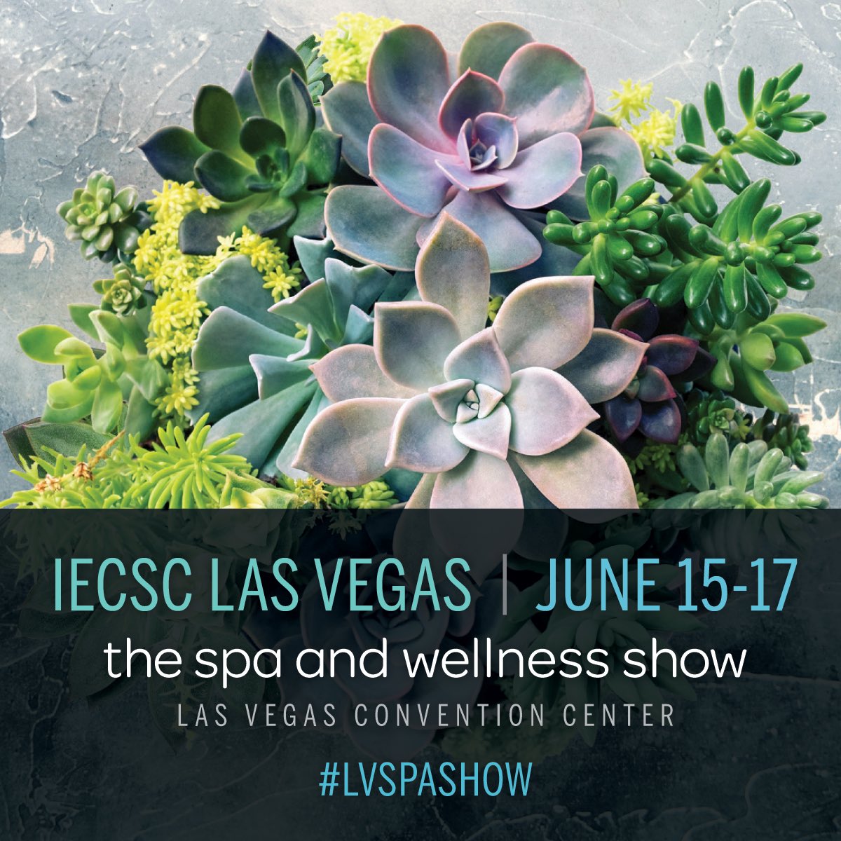 Colorupcbd's tweet photo. @iecsc Las Vegas!!! Of all the lovely #spa professionals, who will we see there?! #cbd &amp; #skincare https://t.co/JlxnnNhHus
