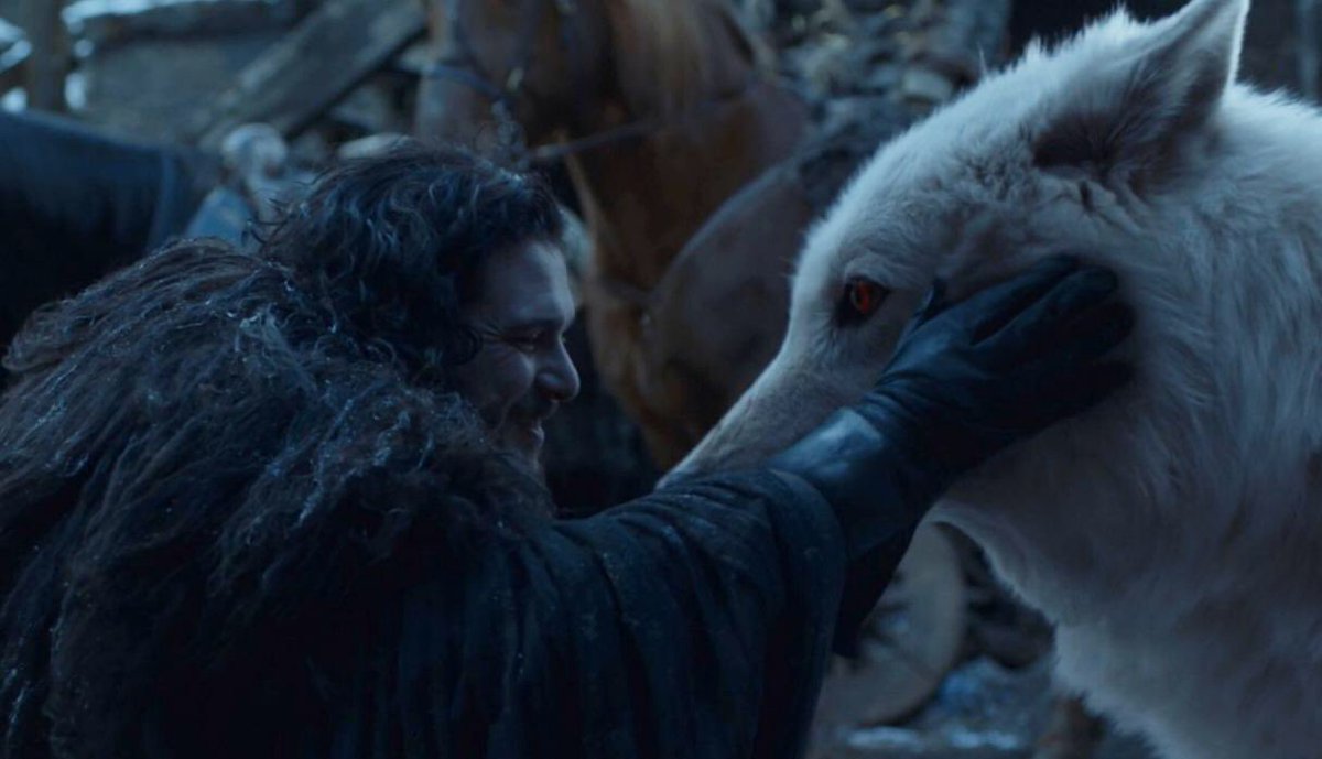 numbrichs_'s tweet image. Lo mejor del capítulo es Ghost recibiendo los mimos que merecía. #GOTfinal