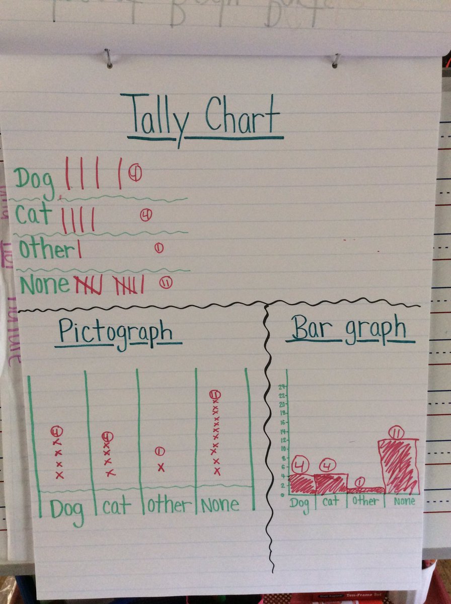 Look at the different ways we represented our class pets!