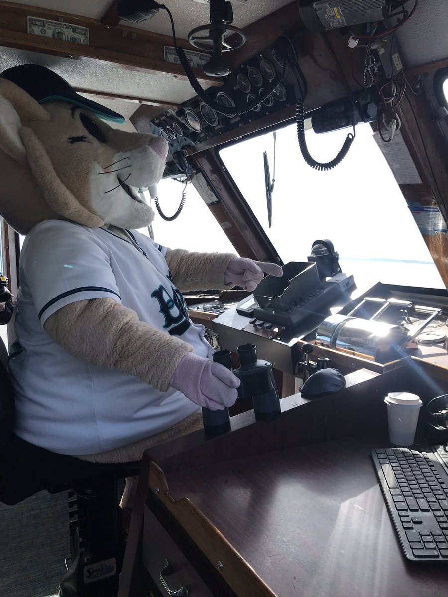 Bellingham Bells tweet media