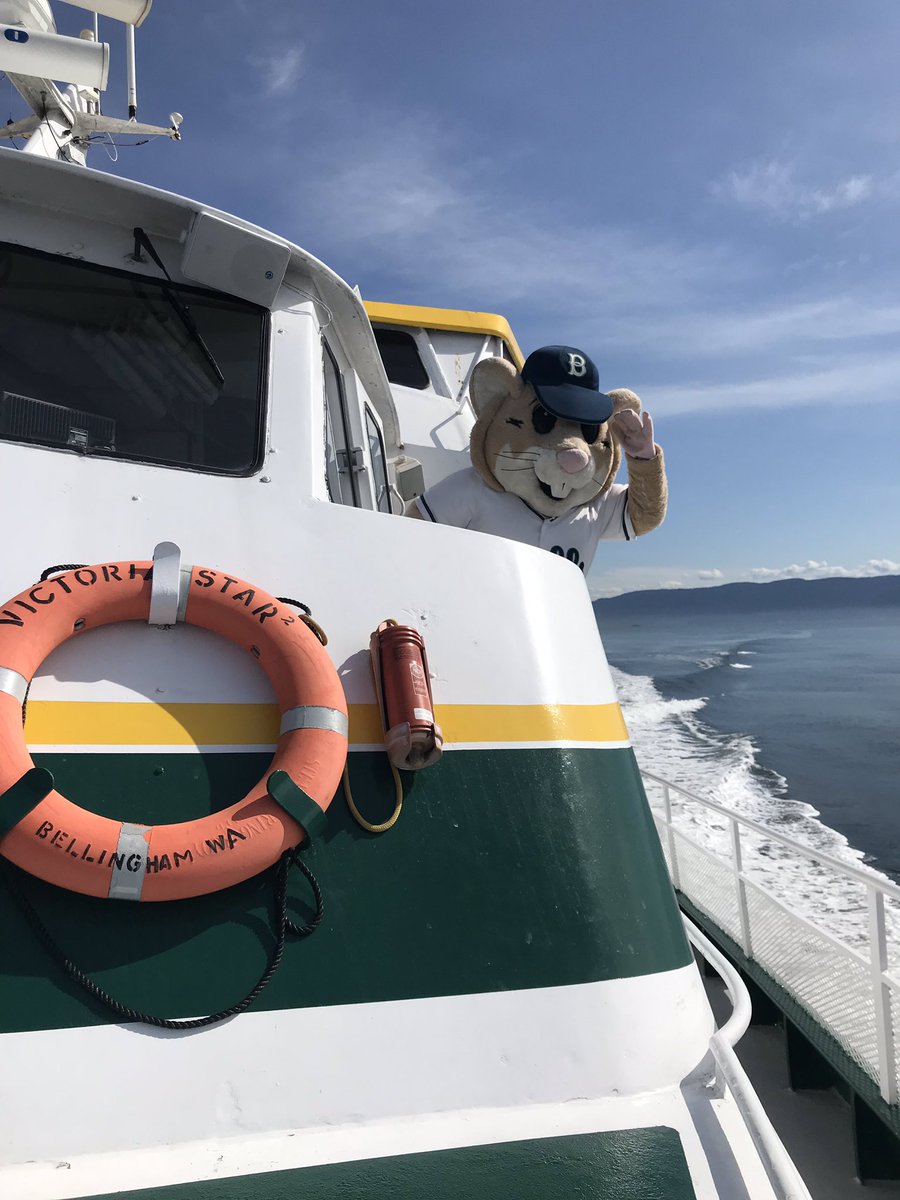 Bellingham Bells tweet media