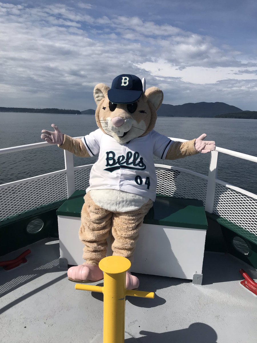 Bellingham Bells tweet media