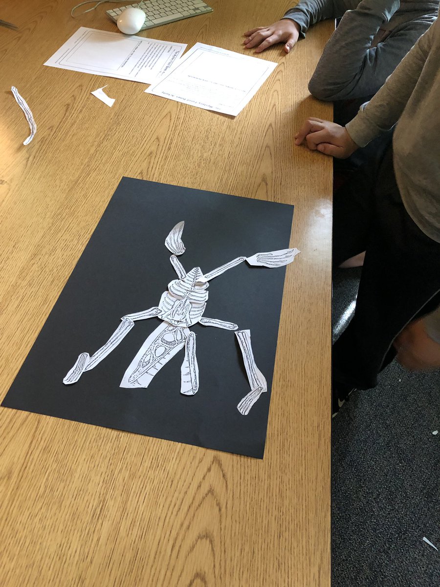SCE4MB's tweet photo. Acting like paleontologists: how do these bones go together? What can we learn about an animal from its bones? https://t.co/nMS60XVN8L