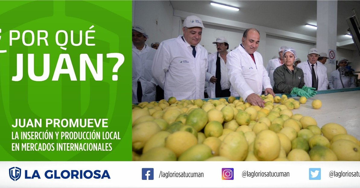 lagloriosatuc's tweet photo. Juntos somos más!
¡Juntos somos Juan!
@JuanManzurOK
#LaGloriosaUsinaDePensamiento 
#MANZUR2019 
#TUCUMÁN 
#LaGloriosa
#JuntosSomosMas 
#JuntosSomosJuan https://t.co/8IqVi1qOpn