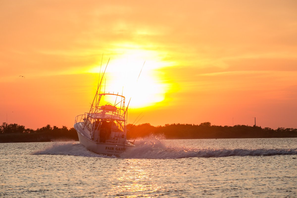 Welcome To LBI tweet media