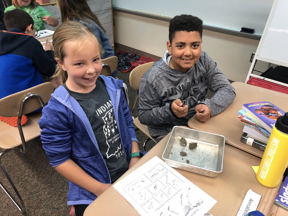 Mrs_Crull's tweet photo. Dissecting Owl Pellets today. 🔎🦉 https://t.co/V44pUyTzdP