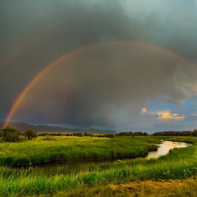We prefer cows at the ends of our rainbows 🐮🌈🐂

📷 Forever protected property in the Ruby Valley
#cowsnotcondos #forevermontana #mtcrushmonday