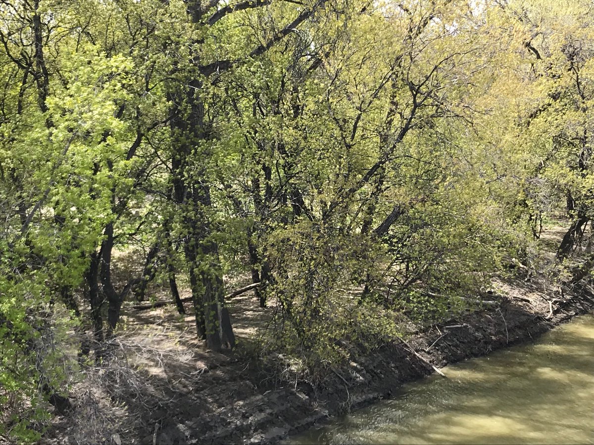 Sandra_L_Sutter's tweet photo. I β€οΈ #Winnipeg. I feel my Ancestors here and love to come and visit where the two rivers meet & the people gather. Being honoured at the #IndigenousMusicAwards reminds me to listen & walk humbly on the path #ClusterStars #SpiritIsland #MusicIsLife #TheForks https://t.co/Z9LCVEIr9I