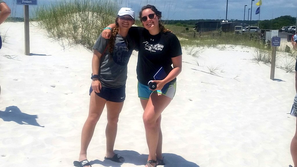 AIA Beach Project tweet media