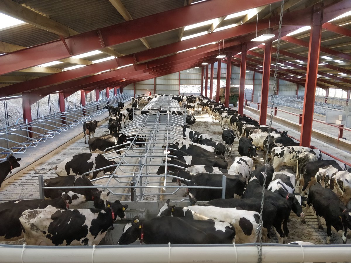 Daniel Yarrow tweet media