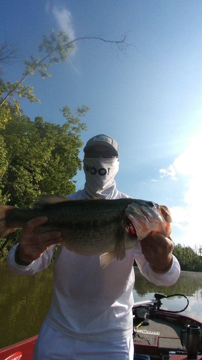 CMFishing's tweet photo. Big girl on a @screwylewylures buzz bait! #WeDriveFishCrazy https://t.co/PJw3lejKt6