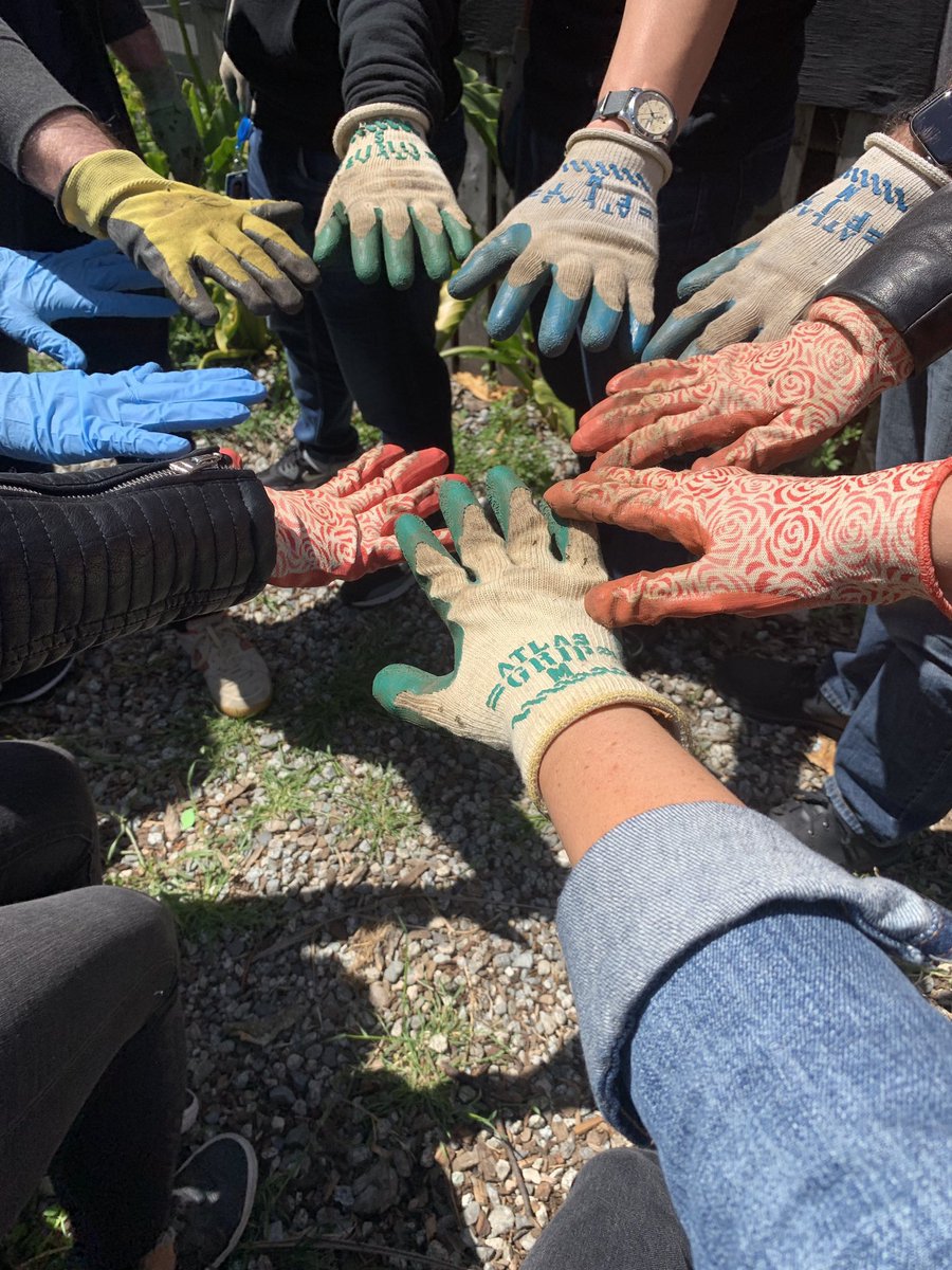 Mortonosalt's tweet photo. Leaving the flock the way I came in: celebrating @TwitterForGood day! Grateful for the opportunities and memories to help foster healthy conversations around the world. Let’s see where this next chapter takes me! https://t.co/FUHnMiWAYc
