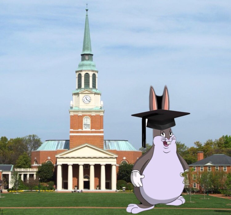 WakeFockey's tweet photo. Congratulations to “Big Chungus” of the Wake Forest Field Hockey team! Onward and upward! #WFUGrad #WFU19 https://t.co/WS1a96Ikot