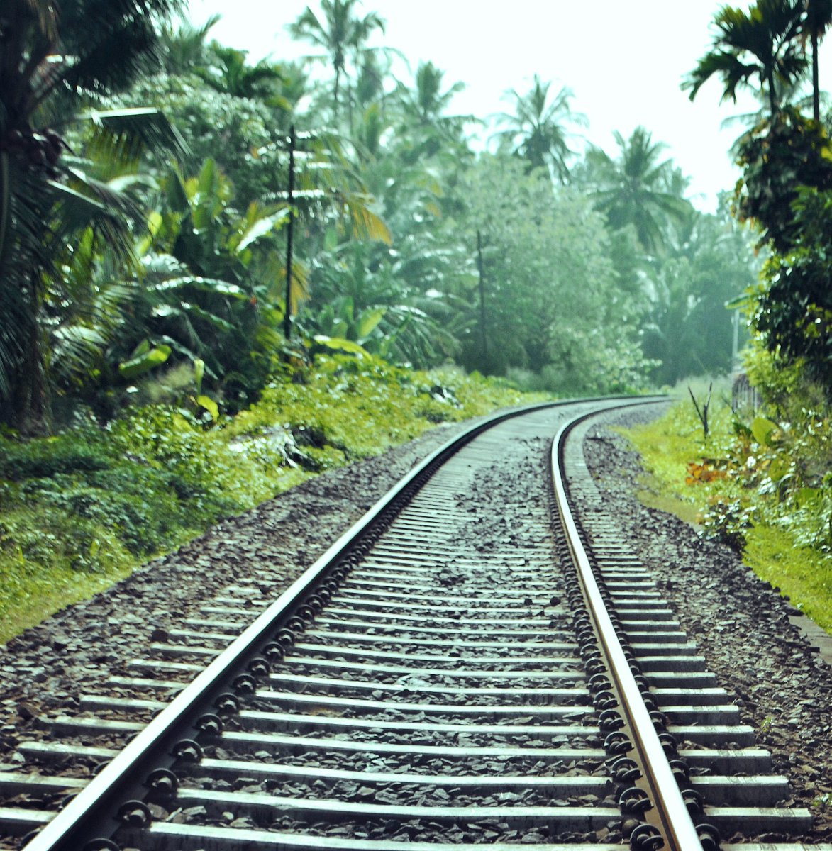 CreativeEscapes's tweet photo. Sri Lanka has so much to explore, what are you waiting for? join us on our trip this August!
https://t.co/j95lXhrEC9 https://t.co/1M4nRBHrW1