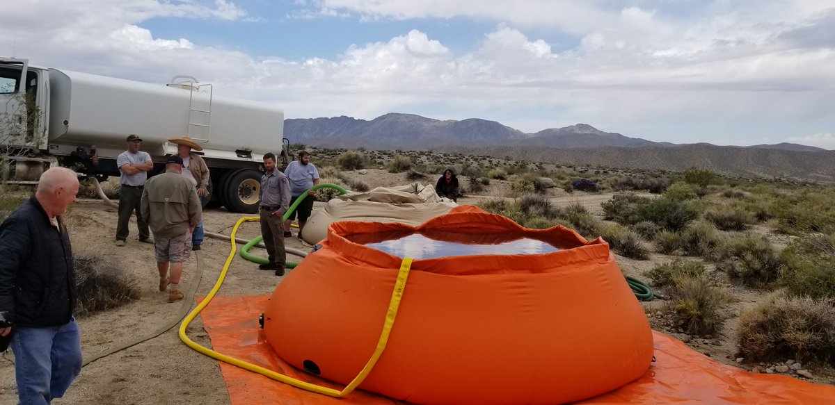 CaliforniaDFW's tweet photo. Success! A team of CDFW staff and volunteers joined forces to refill two water guzzlers in the parched Old Dad Mountains in the Mojave National Preserve that are heavily used by the nearly 100 desert bighorn sheep that live there. Timing was key in advance of hot summer months. https://t.co/noPueWlRkz