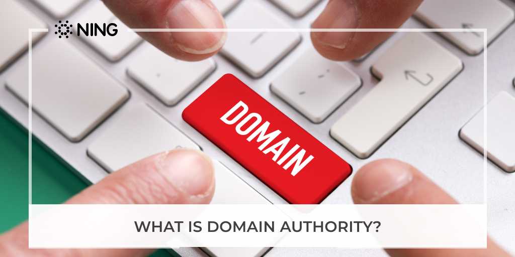 WHAT IS DOMAIN AUTHORITY?
NING knows the answer and shares it with you:
ning.com/blog/2019/02/w…
