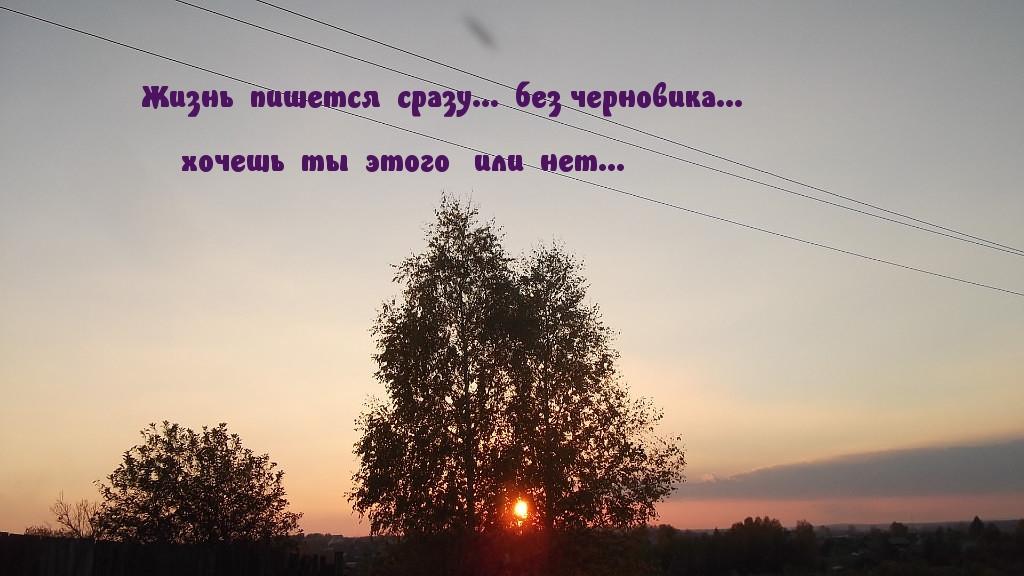 Не прожить в мире этом без потерь. Жизненные картинки с надписями. Картинки с надписями о жизни. Жизнь надпись. Картинки с надписями со смыслом.