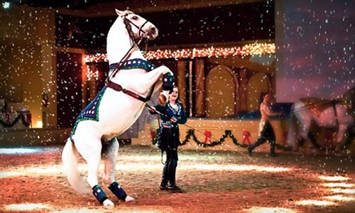 VisitDelavan's tweet photo. The Dancing Horses Theatre is truly a must see performance. A "Vegas" style show with the most talented performers. Catch a performance on May 22, 25, 26, 27, or 29. #delavanwi #dancinghorses @TheDancingHors1 https://t.co/IkpDGCs9mx https://t.co/EAvqKfuk4d