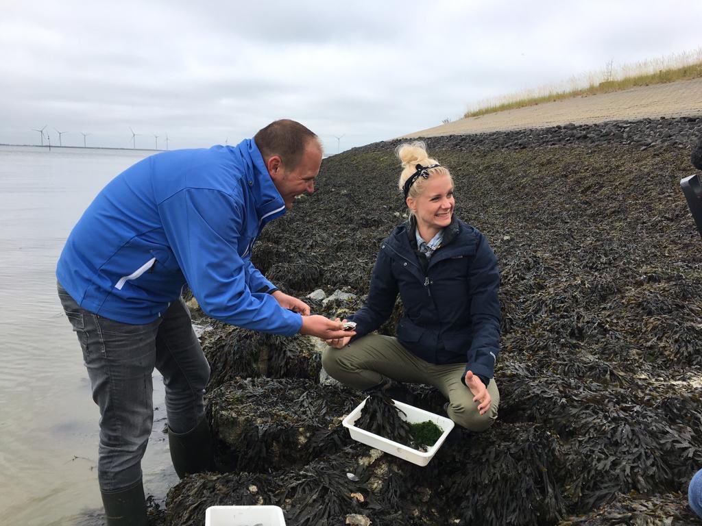 WilcoJacobusse's tweet photo. Morgenavond 18:40 Nationaal Park Oosterschelde centraal in tv-programma @hetklokhuis Op stap met @janoukkelderman en @witteboulevard in @npoosterschelde https://t.co/ZVcrIIlHKG