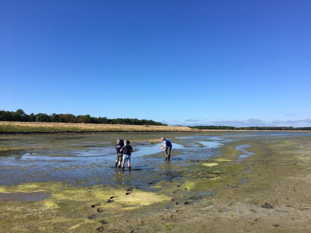 WilcoJacobusse's tweet photo. Morgenavond 18:40 Nationaal Park Oosterschelde centraal in tv-programma @hetklokhuis Op stap met @janoukkelderman en @witteboulevard in @npoosterschelde https://t.co/ZVcrIIlHKG