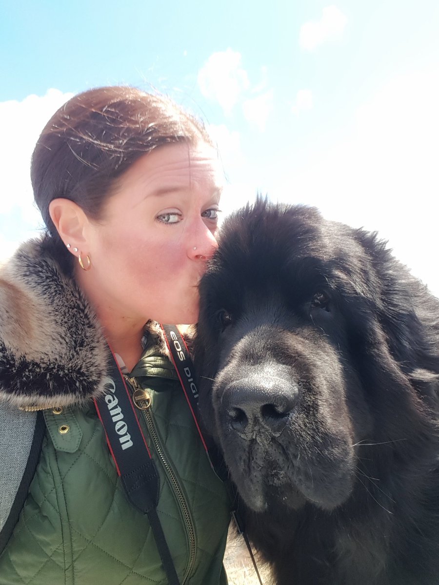 CruiseMiss's tweet photo. I've had the BEST day in St John's! I finally got to see some puffins, got up close to numerous icebergs, had great views from Signal Hill across St John's and met a gorgeous Newfoundland named 'Chief'. 😍❤🇨🇦🚢 @SagaUK #SagaSapphire #PuppyLove #Cruise #BergyBits https://t.co/myrHUzjp9M