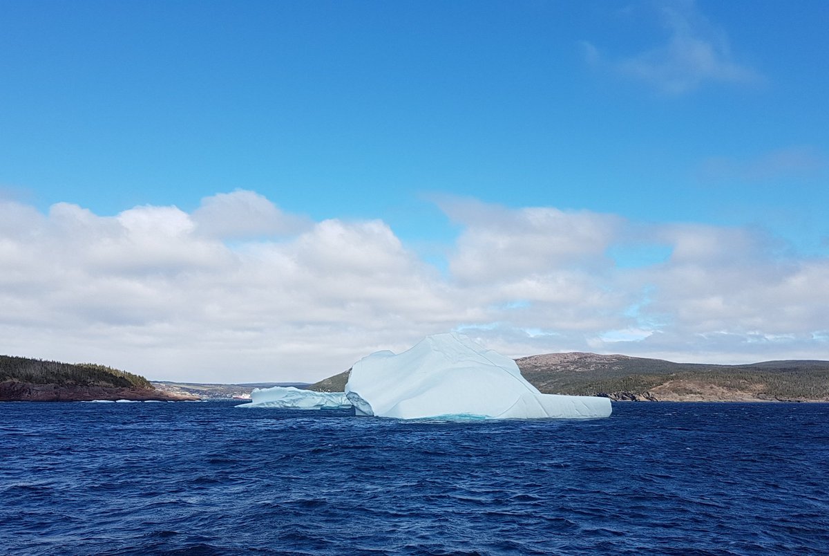 CruiseMiss's tweet photo. I've had the BEST day in St John's! I finally got to see some puffins, got up close to numerous icebergs, had great views from Signal Hill across St John's and met a gorgeous Newfoundland named 'Chief'. 😍❤🇨🇦🚢 @SagaUK #SagaSapphire #PuppyLove #Cruise #BergyBits https://t.co/myrHUzjp9M