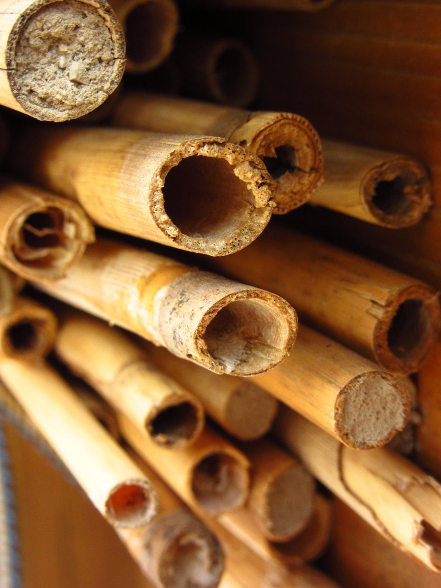 Heather Cray 🌱 tweet media