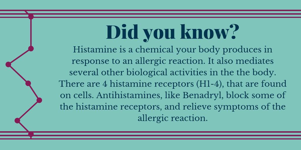 KnoppBio's tweet photo. The next term in our A-Z list we will learn about is histamine.
#Eosinophils #RareDisease https://t.co/NKcBv7i7zG