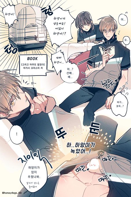 하양이 밀실 실종사건 
