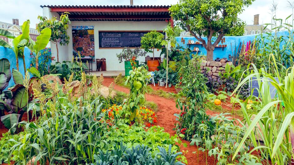 Lovely Camfed Garden at <a href="/The_RHS/">The RHS</a> Chelsea Flower Show, 21-25 May: celebrates girls’ education, entrepreneurship, #climate resilient crops &amp; agriculture in #Zimbabwe - all supported in 🇿🇼 by <a href="/UKinZimbabwe/">UKinZimbabwe 🇬🇧 🇿🇼</a> 🇬🇧. 

👏🏽  <a href="/Camfed/">CAMFED - Campaign for Female Education</a>, <a href="/StudioJilayne/">Jilayne Rickards</a>, @DFIDAgResearch 

camfed.org/latest-news/df…