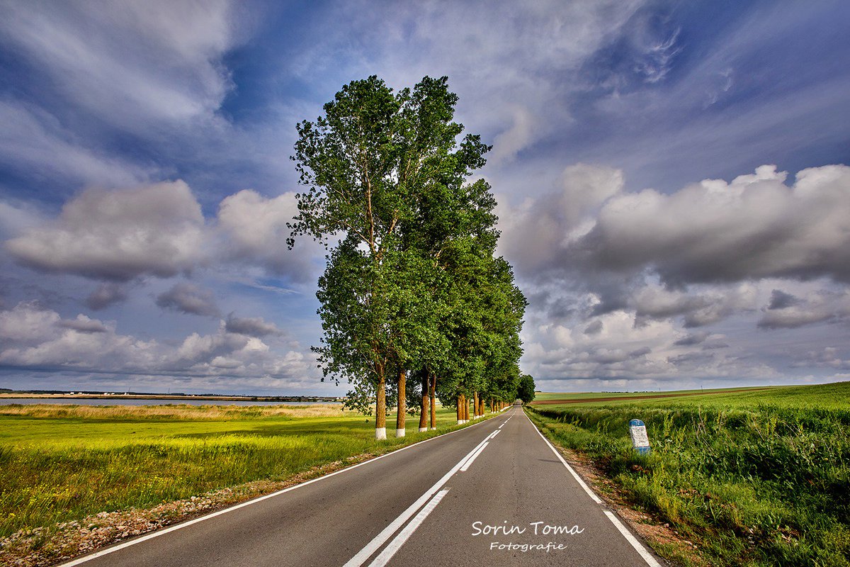 RomaniaTourism's tweet photo. This week’s #Romania pics: southeastern Romania (region of #Dobrogea) backroads. This region of Romania is home to spectacular landscapes that are ever changing and the amazing #DanubeDelta. 
Photos © SM friend Sorin Toma https://t.co/cgizZevFOf