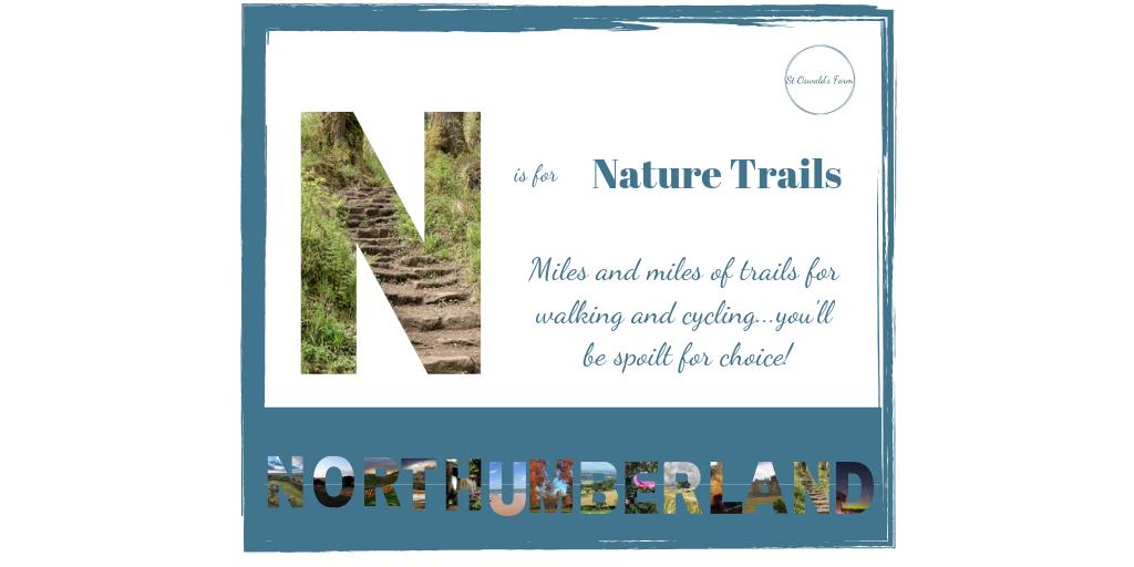 If you love walking or cycling and discovering the nature around you, then Northumberland is the place for you! We actually have more than our fair share here, but luckily were happy to share it with our visitors #nature #walks #cycling #visitnorthumberland @discovernland