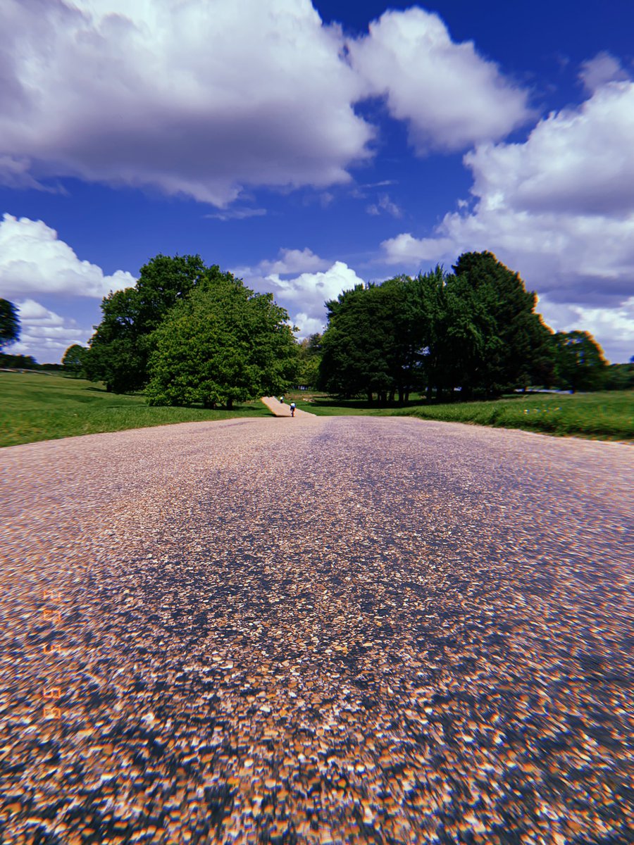 cortneyjayde1's tweet photo. Went on a little adventure today https://t.co/fiWPjGog0K