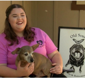 K12 Student In the News - Gabby Parris, is not letting her struggles get in the way of finishing her high school education.

ow.ly/XLua50t934B