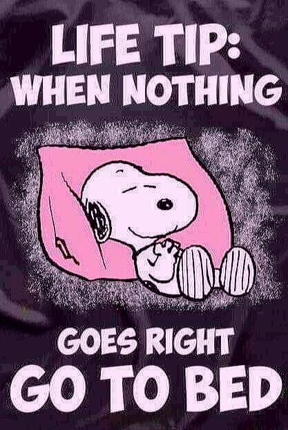 stray12u's tweet photo. #sleeprule No. 7. Sounds PERFECT #MondayMotivation @stlmattress @relaxopedic @campbellsleep @zeromattress #EdwardsvilleIL https://t.co/DElYwKY4i4
