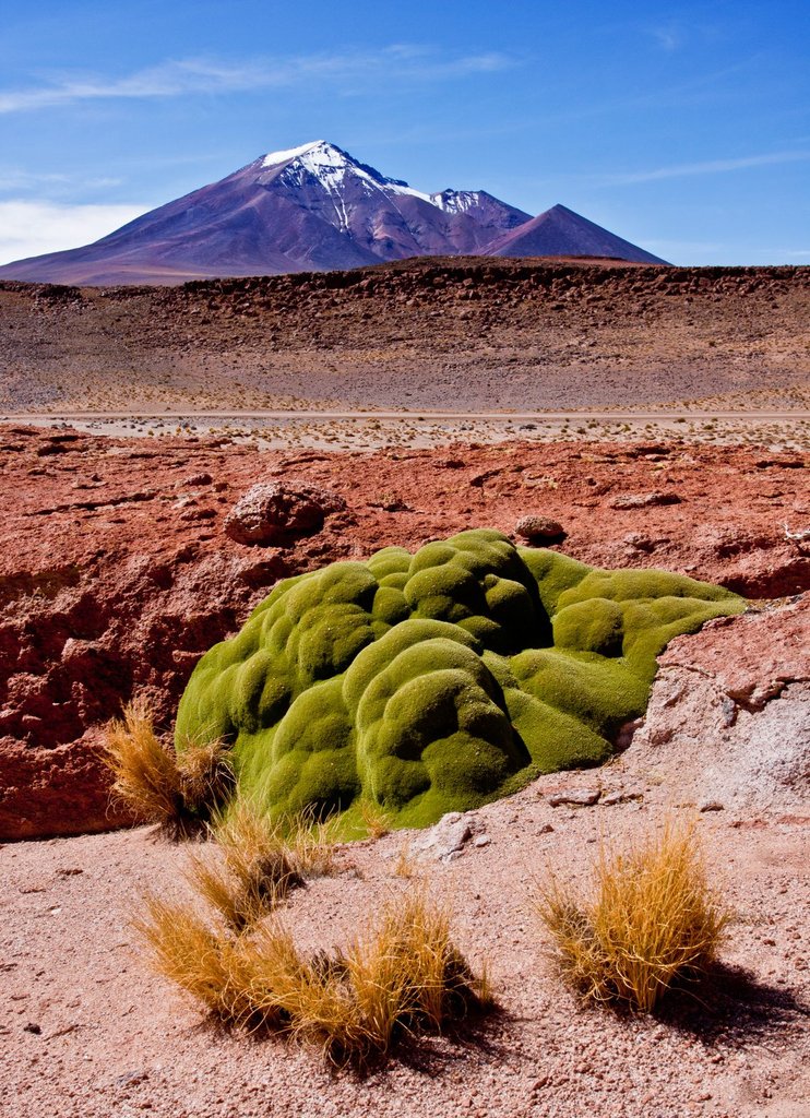 MartinBisof's tweet photo. What I love on Bolivian Altiplano are colors. There are many opportunities to be creative and include different layers and colors into the frame. Red, Green, Blue, Yellow, everything is possible also at such an inhospitable place
https://t.co/VhP4y116X8
#volcano #uyuni #bolivia https://t.co/gNNTZufht1