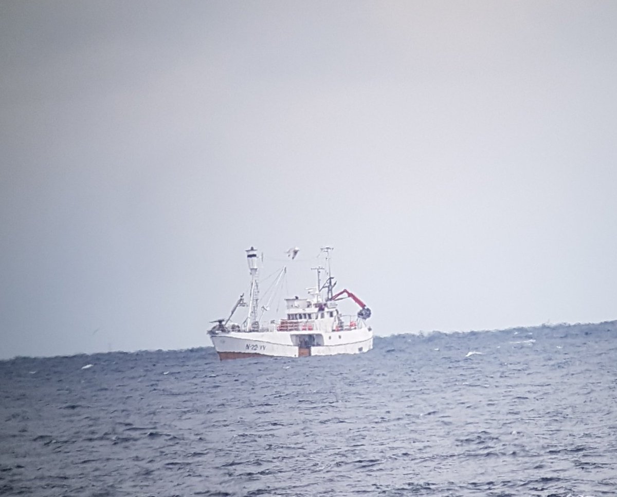 Distressed to see this whaling ship N-22-VV hunting just off Hamningberg, Varanger when we arrived for sea watching. Hope the minke we saw yesterday has left the area. #stopbloodywhaling #opwhales @BiotopeOffice @WHALES_org @visitnorway_uk @Seasaver #norway