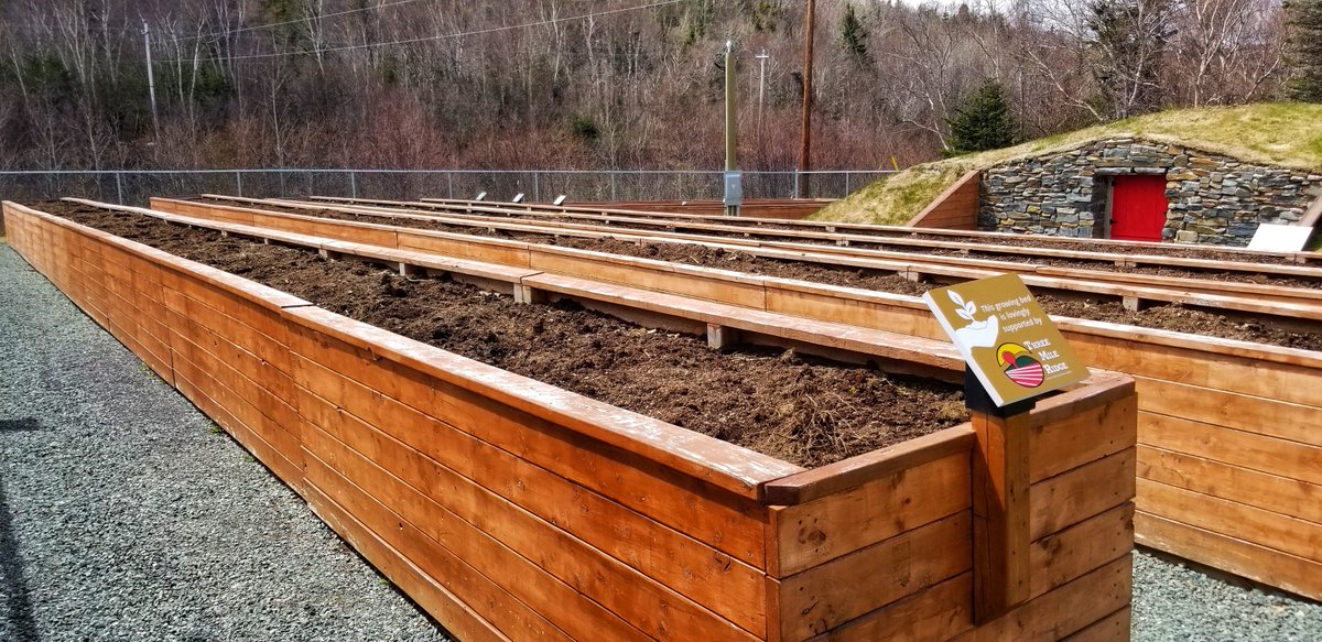 Excited to get growing #newfoundland #farming #raisedbeds #rootcellar